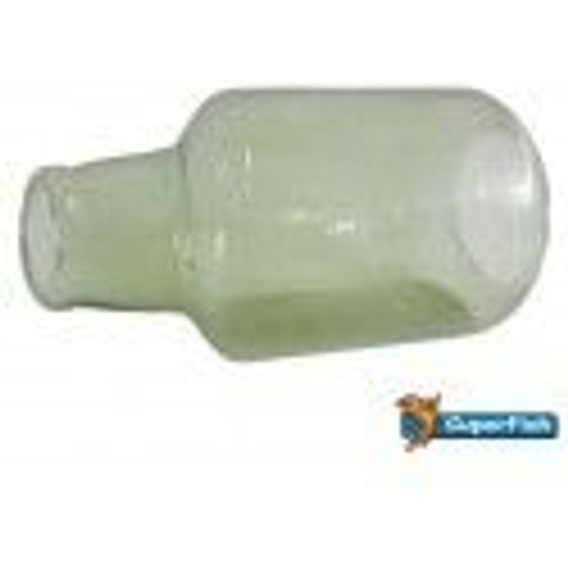 Bouteille Déco En Verre Superfish Vert