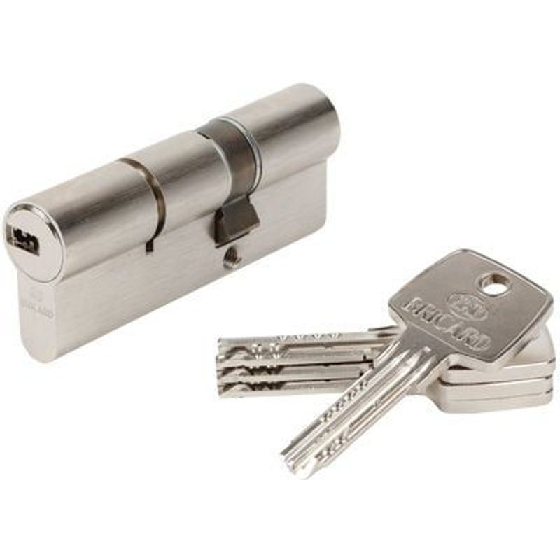 Bricard - Cylindre Astral 30+50 - Débrayable - 4 clés - Gris