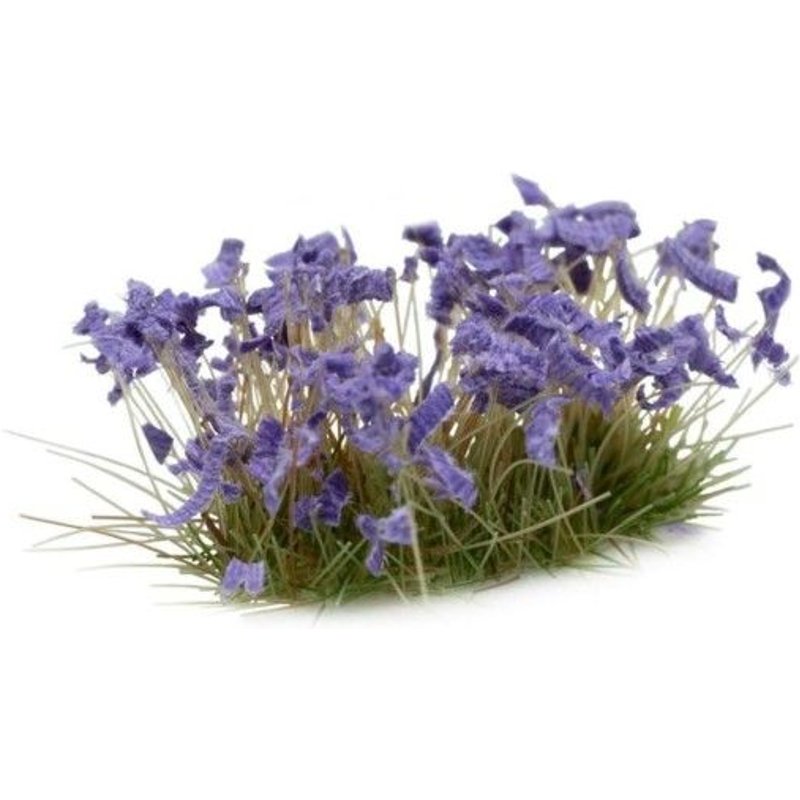 Gamers Grass Fleurs Violettes (6 Mm), Forme : Sauvage.