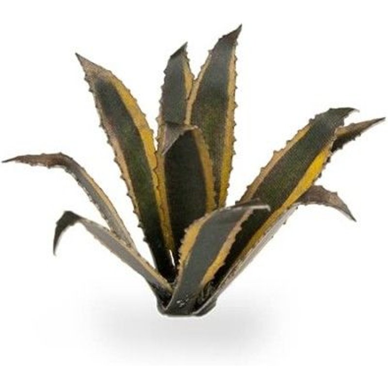 Gamers Grass Laser Plants Agave