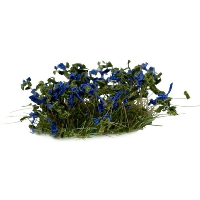 Gamers Grass Fleurs Bleues (6 Mm), Forme : Sauvage.