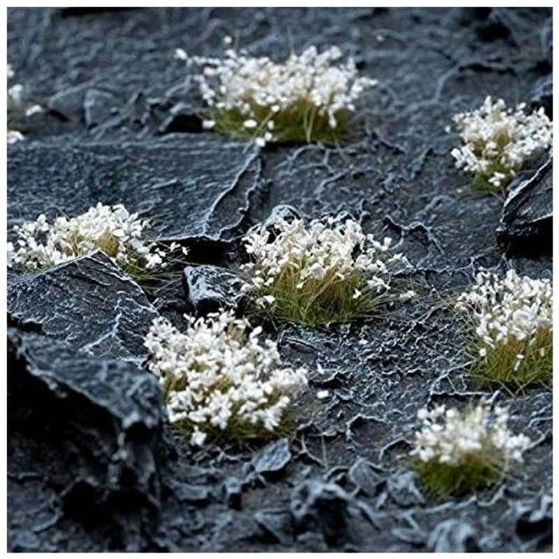 Gamers Grass Fleurs Blanches (6 Mm), Forme : Sauvage.