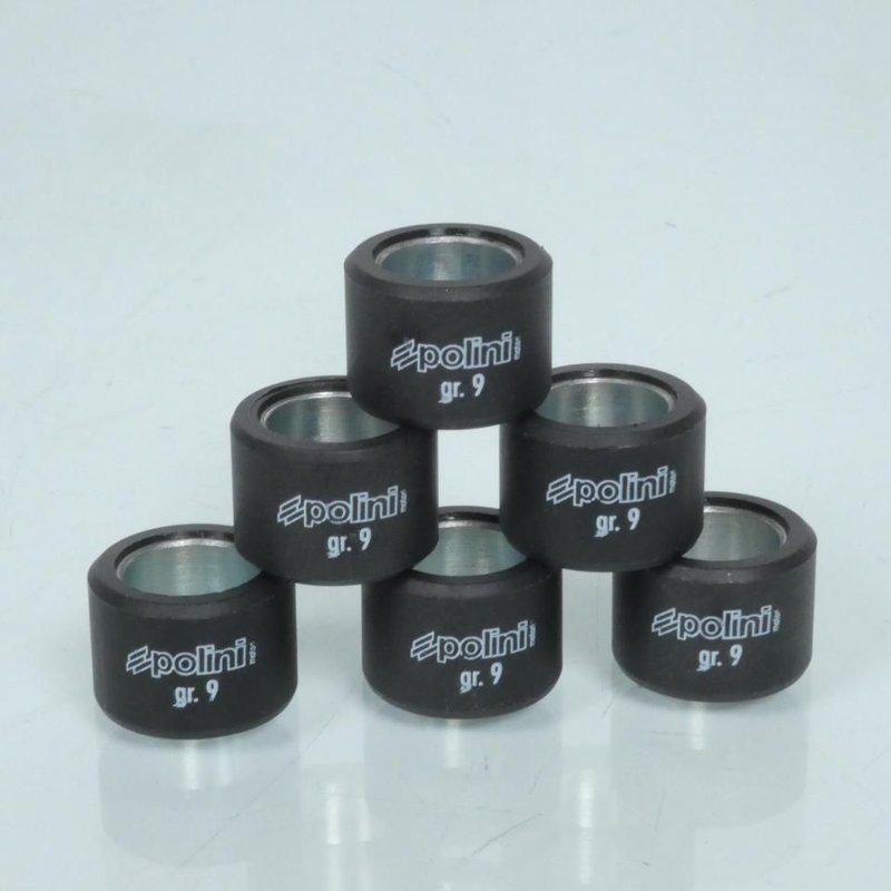 Galets Polini à 20x14,5 (x6)- 9 g