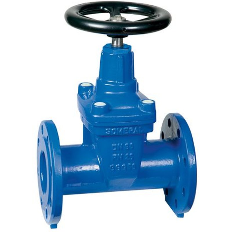 1 X VANNES ET RACCORDS POUR L'EAU DN 65 PN 25