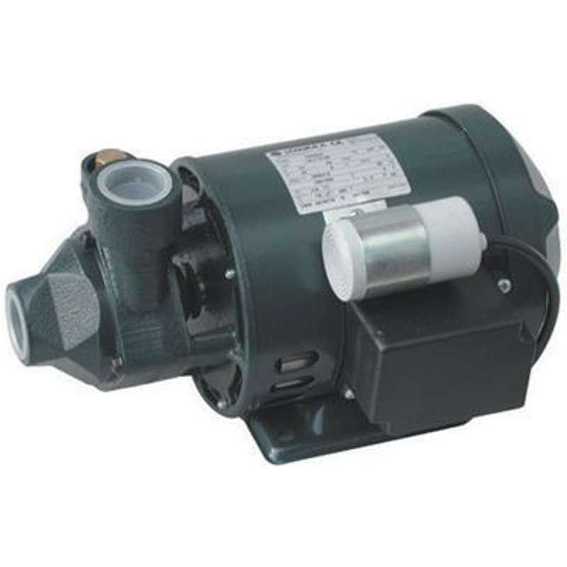 1 X ÉLECTROPOMPES ET ACCESSOIRES LOWARA kW 0,50 CV 0,70