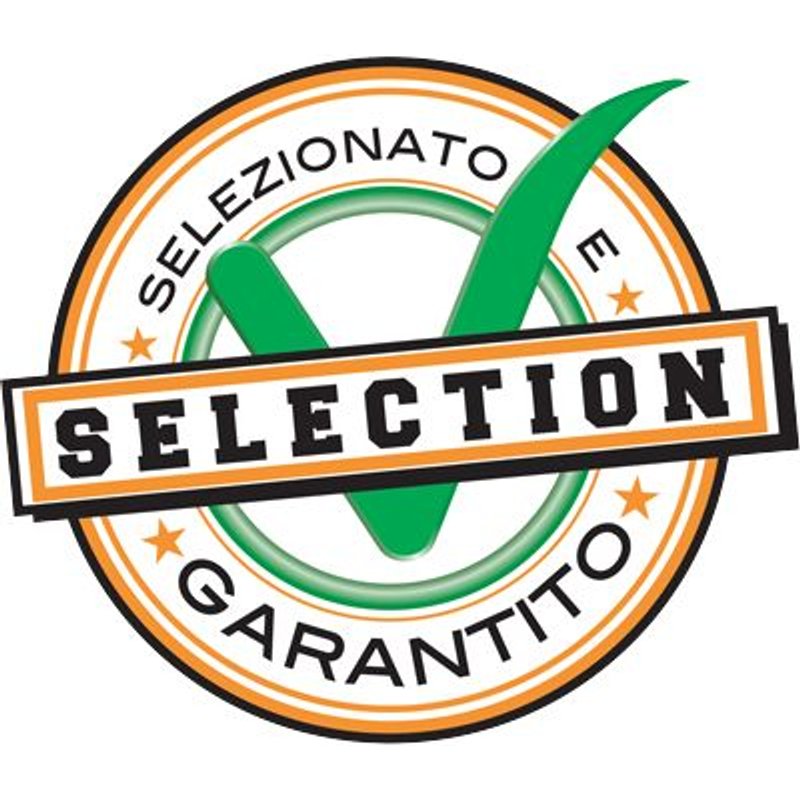 1 X POUBELLE VERTE LT 70 CM 45 H.CM 62 + COUVERCLE À VIS