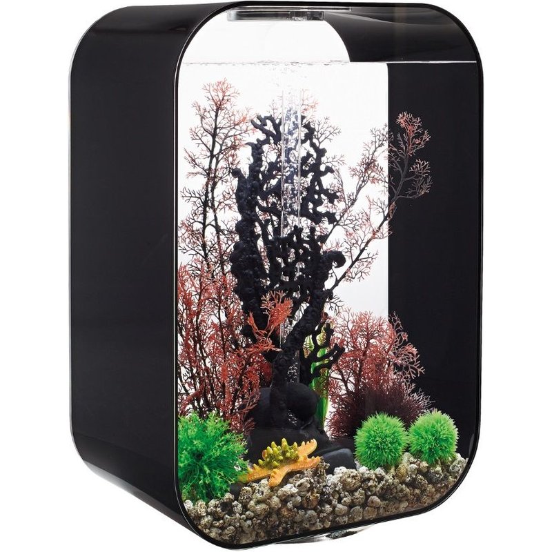 Oase - Aquarium 60l Contours Noir Life 60 Mcr Black