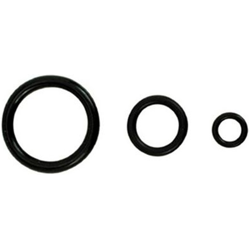 100 X SCELLÉS. ORING. TALONS 15,4 x 2,7 mm