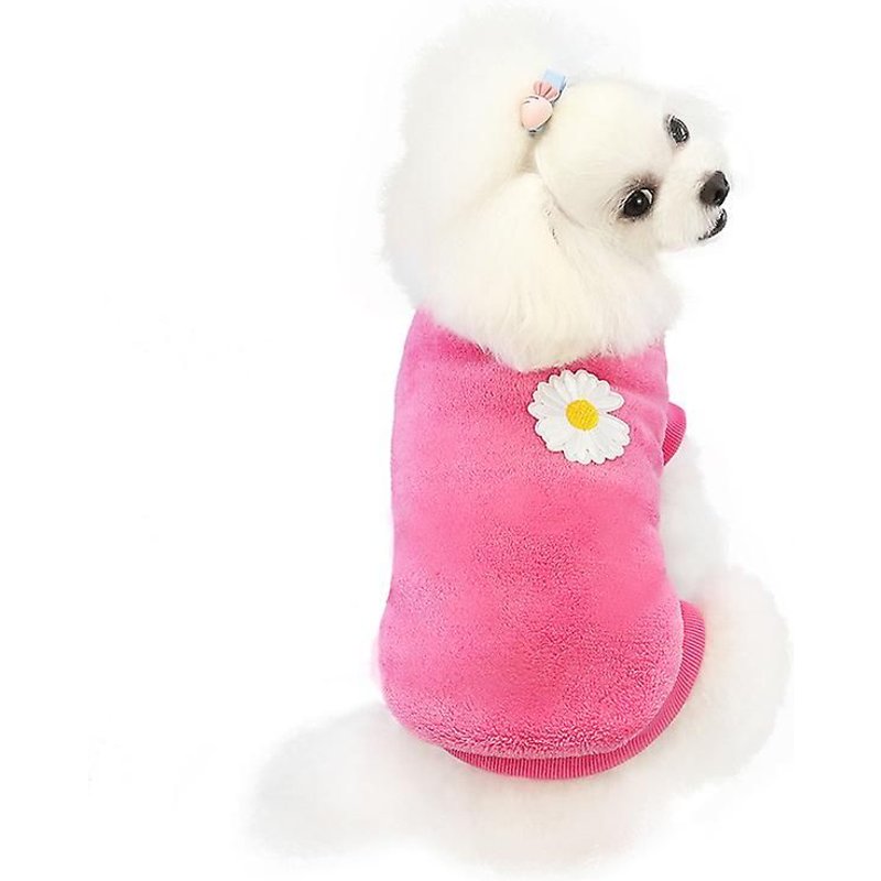 Pull En Cachemire Corail Pour Petit Chien Et Chat, Taille S (Longueur Du Dos : 20 Cm, 1 À 1,5 Kg)