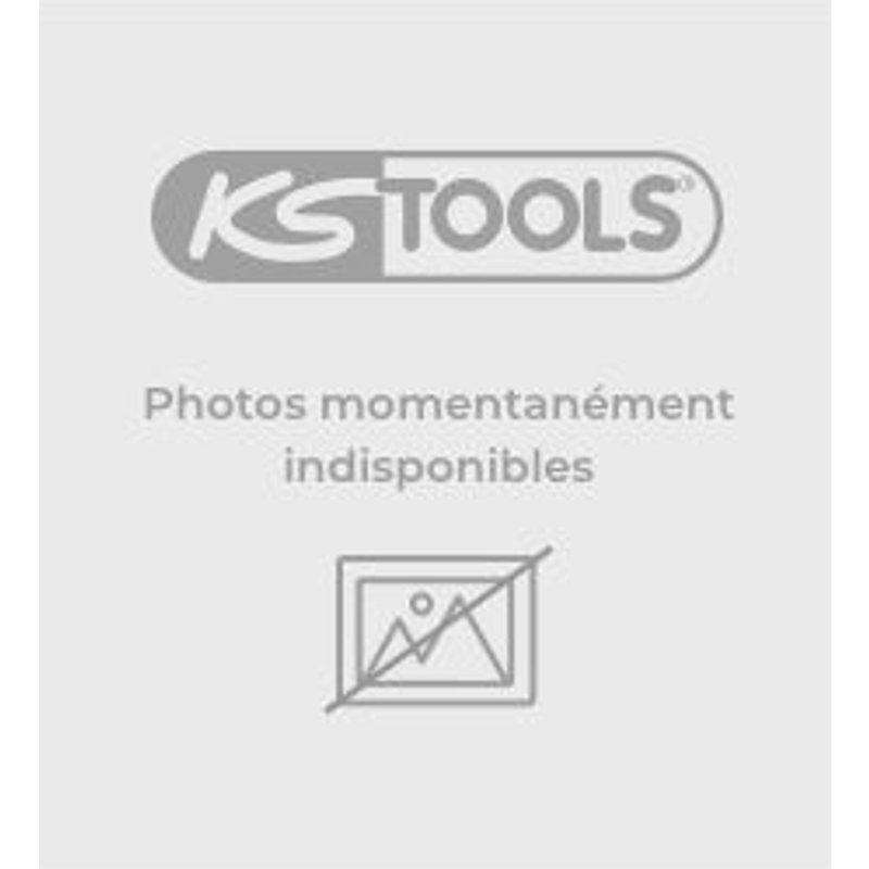 Tuyau retour avec raccordement 6 mm . N° F .L.2 .5 m KSTOOLS 160.0763 (KSTOOLS)