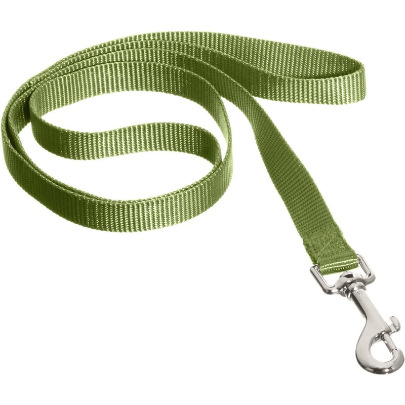 Nobby Laisse En Nylon Pour Chien Vert 10 Mm X 120 Cm