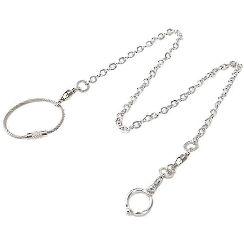 Chaîne De Pied Pour Perroquet, Laisse Pour Oiseau De Compagnie, Chaîne En Acier Inoxydable Pour Oiseau, Chaîne De Pied Pour Laisse Pour Perroquet