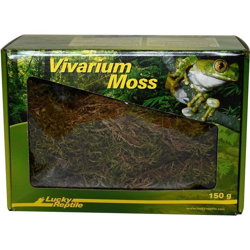 Vivarium Moss - 150g Terrarium Foam - Fresh Foam From Controlled Culture - Increases Air Humidity - Terrarium Deco Foam - Reptile Accessory