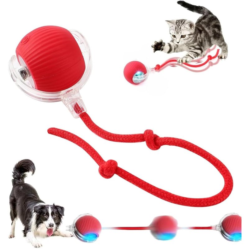 Letnerny-Jouet Interactif Pour Chat - Balle Magique Pour Chien Et Chat - Jouet Interactif - Balle De Jeu Mobile Pour Chats Et Chiens - Pour L'intérieur