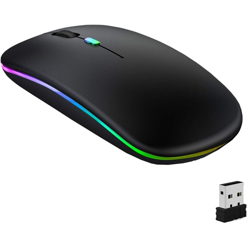 Souris sans Fil Rechargeable,Souris Bluetooth,Deux Modes(BT 5.1+2.4G sans Fil) Ultra-Mince/Silencieux(800-1200-1600),avec USB câble,Wireless Mouse pour PC/Tablet/Laptop(Noir)