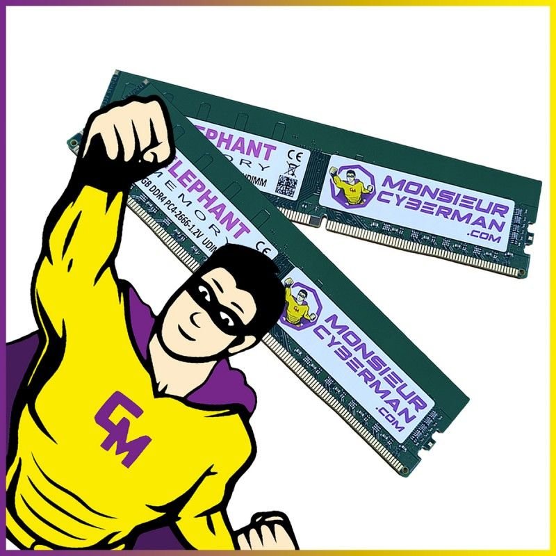 Lot 2x16 (32Go) RAM DDR4 Elephant Memory PC4-21333 DIMM 2666Mhz Mémoire PC Neuf