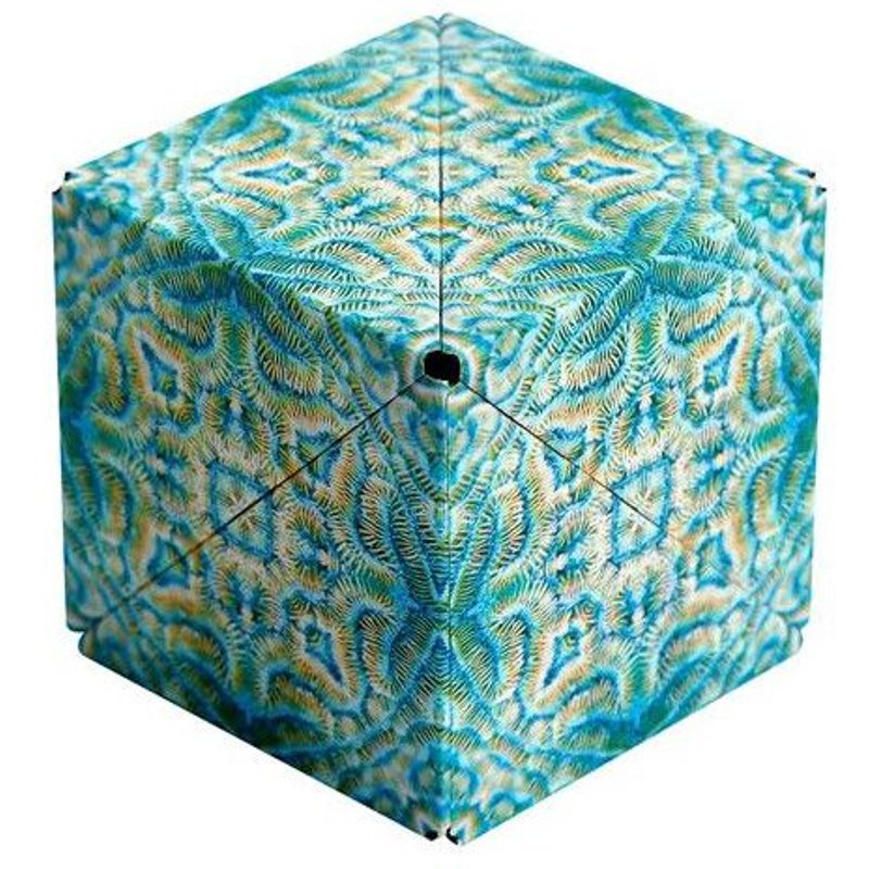 Jeu D Adresse Fun In Motion Shashibo Océan