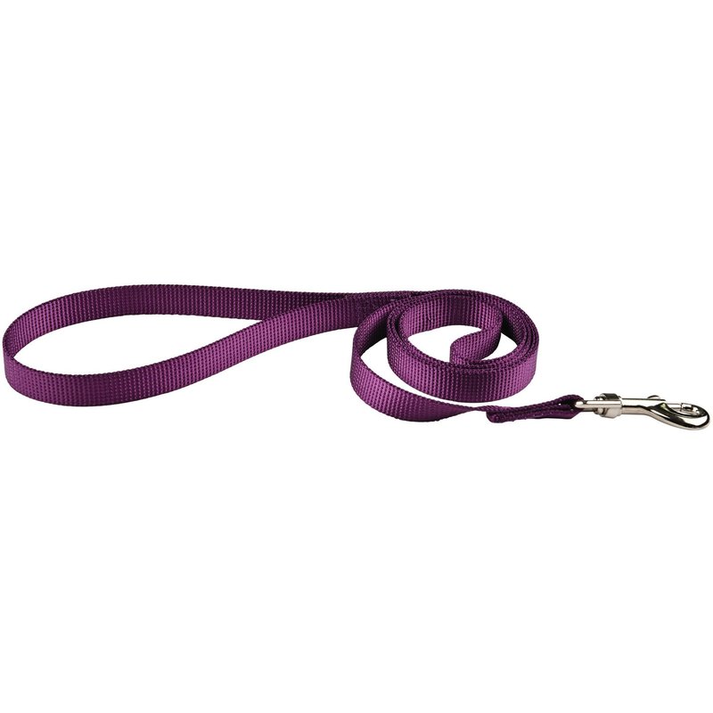 Laisse Air Mesh Violet Pour Chien 1,20m X 15 Mm