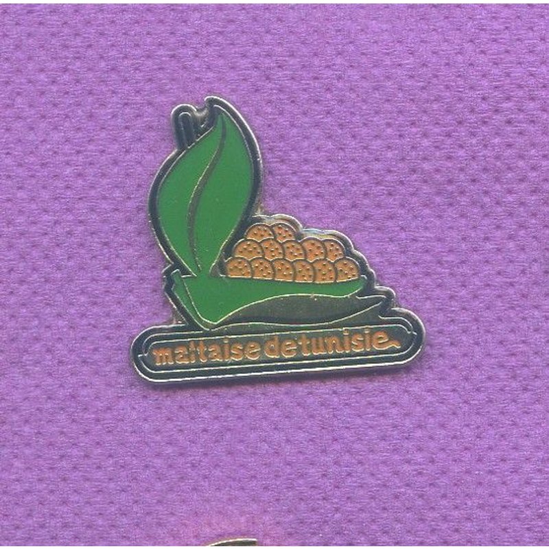 Rare Pins Maltaise De Tunisie L587