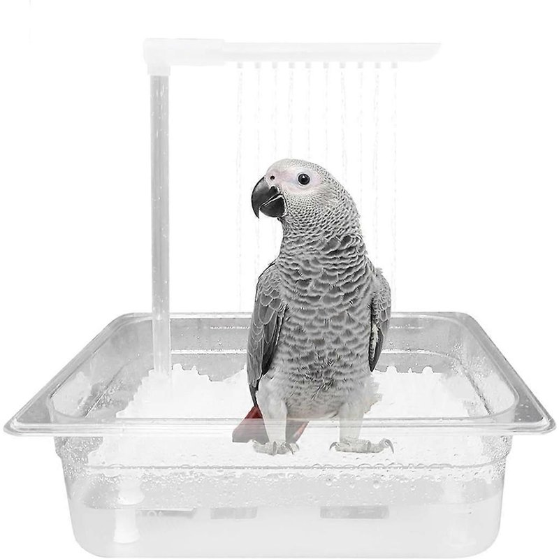 Baignoire Automatique Pour Perroquets Et Oiseaux Avec Robinet À Circulation À 180° Pour Oiseaux De Taille Moyenne, Gris Africain
