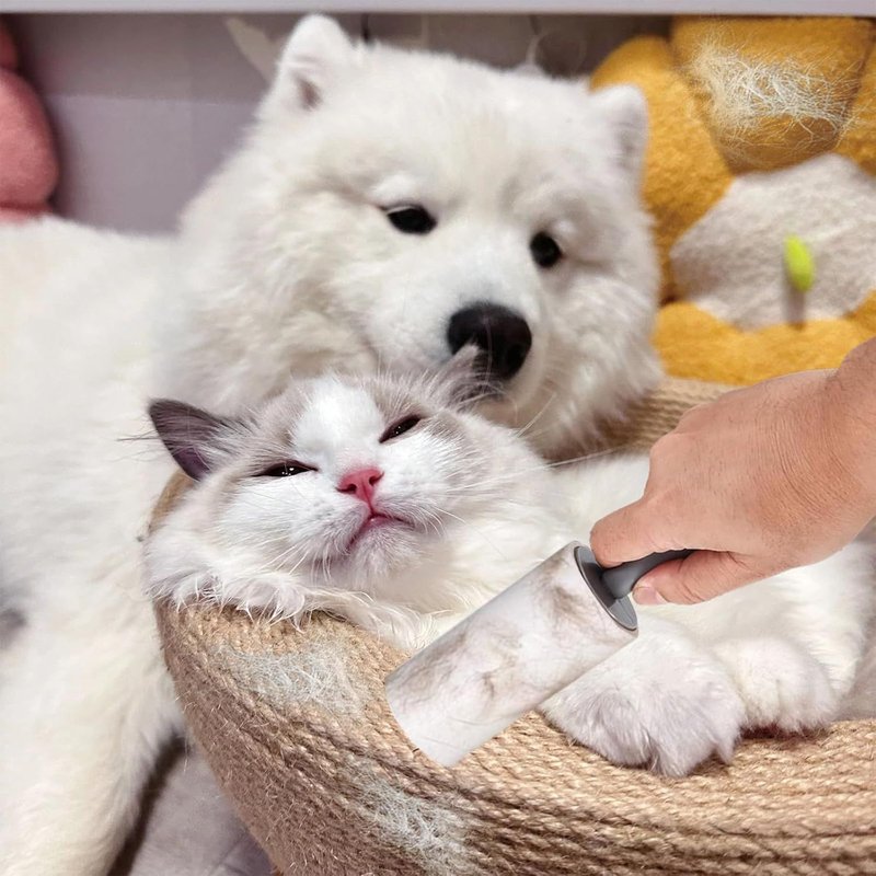 12 Animal Hair Rollers,720 Sticky Brush Sheets,1 Handles + 1 Protective Cover,Adhesive Roller Clothing For Clothes,Hair,Sofa,Bed,Cat And Dog Hair