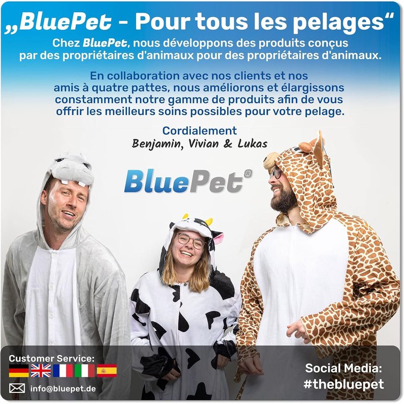 Pet Brush For Small Cats And Small Dogs,Rabbit Brush-Gently Removes Undercoat,Knots And Felt-Mini Bristle Brush For Daily Coat Care