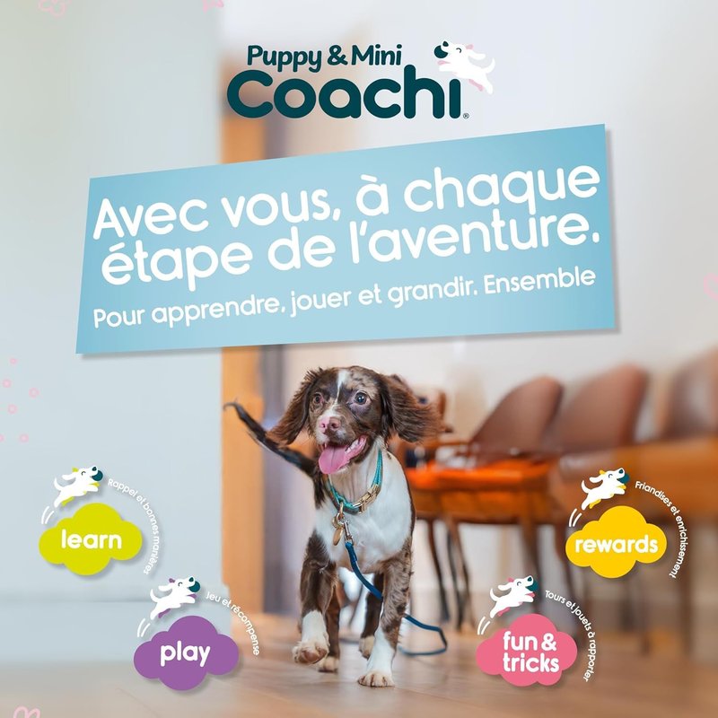Tuggi Tug Coachi Pour Les Chiens Et Les Chiots-Pour Tirer,Solide Et Doux,Éducation Amusante Avec Récompense,Idéal Pour Le Rappel,L`Agilité,Stop Aux Morsures & Mâchonnements