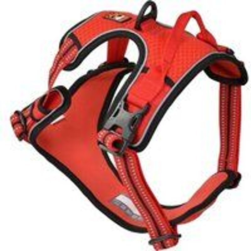 Dogs Creek Harnais Anti-Traction Pathfinder Rouge Xl