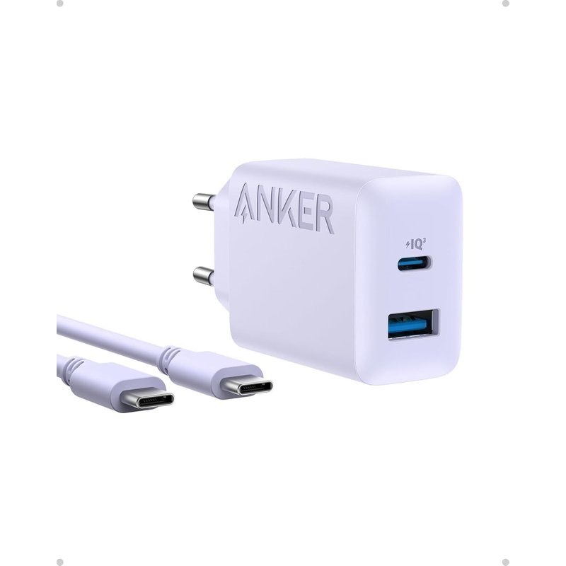 Chargeur Iphone Usb C 20 W, Chargeur Ipad, Recharge Rapide, Compatible Avec Iphone 16/16 Plus/16 Pro Max/15/Ipad Et Autres (Câble Usb C 150 Cm Inclus)