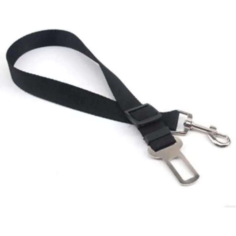 Laisse Ceinture De Sécurité - Non Spécifié - Rouge - Nylon - Acier Inoxydable - Pour Chien