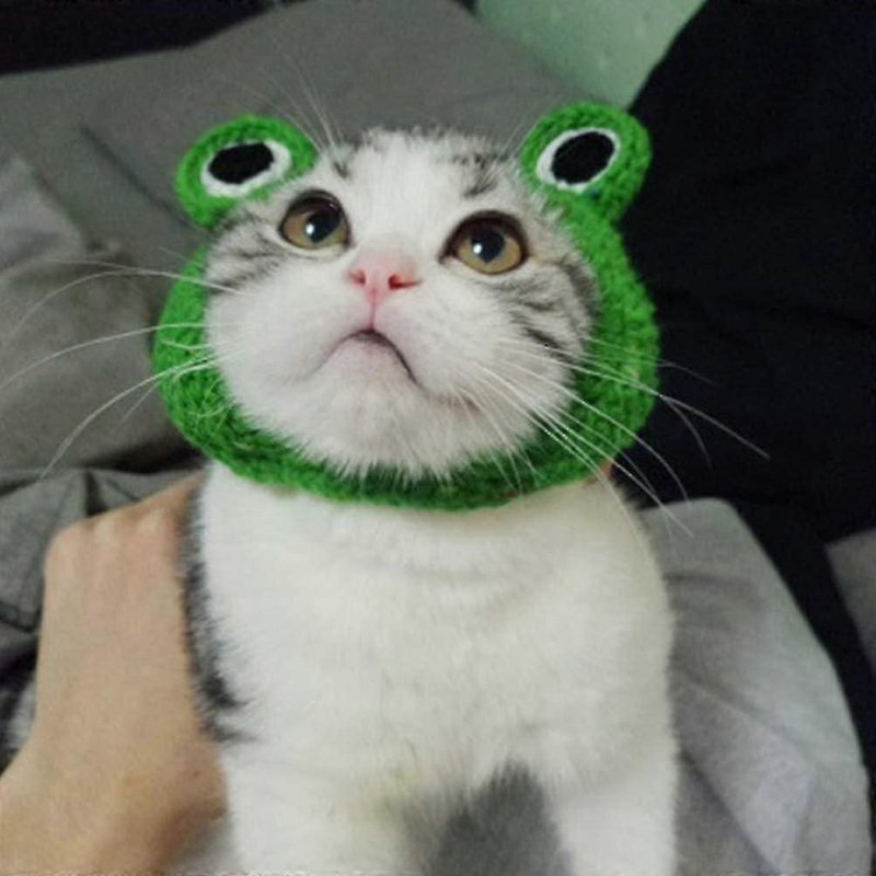 Chapeaux Amusants Pour Animaux De Compagnie, Grenouille De Dessin Animé, Chapeaux Tricotés Pour Chiots Et Chats, Fournitures De Toilettage Pour Animaux De Compagnie, Décorations Quotidiennes, Décorations De Noël-Vert