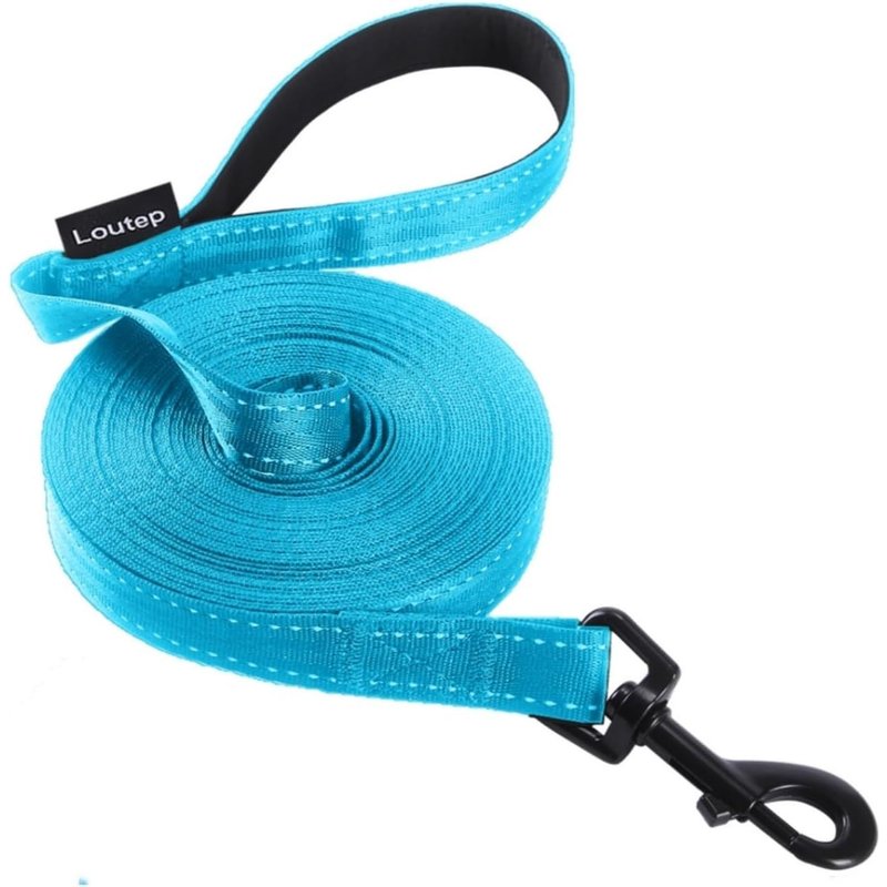 Laisse De Dressage Réfléchissante Pour Chiens De 3 M, 5 M, 10 M, 15 M, 20 M, 25 M, 30 M - Corde En Nylon Robuste Avec Poignée Rembourrée Pour Chiens De Petite, Moyenne Et Grande Taille - Pour