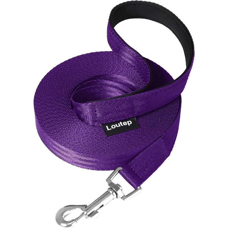 Laisse Pour Chien - 3 M, 5 M, 10 M, 15 M, 20 M - Laisse Pour Chiens De Petite Et Grande Taille