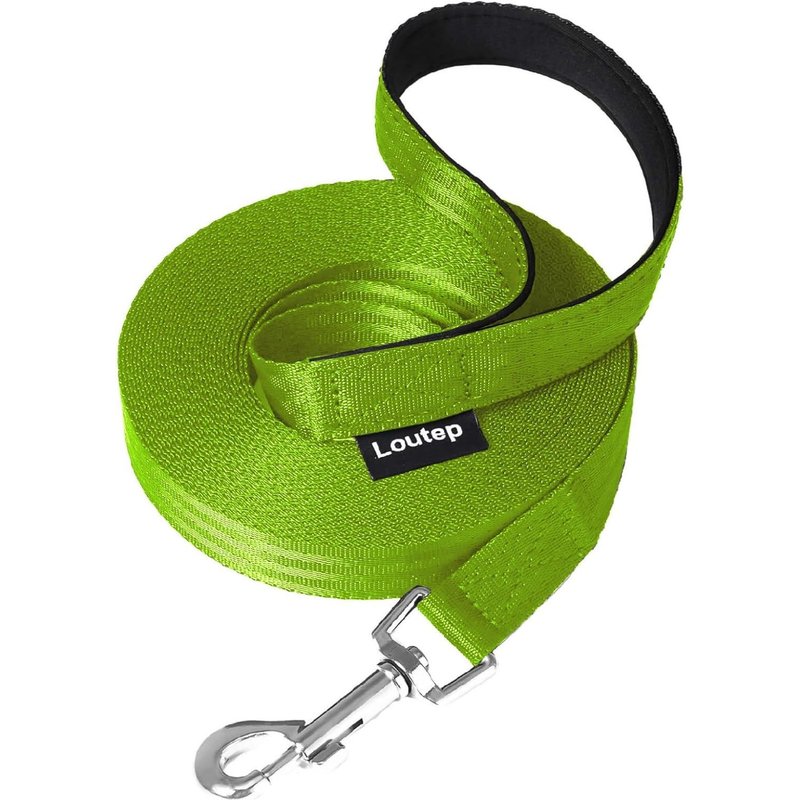 Laisse D'entraînement Pour Chiens De 3 M, 5 M, 10 M, 15 M, 20 M, 25 M, 30 M, Corde En Nylon Solide, Obéissance, Jeu En Plein Air