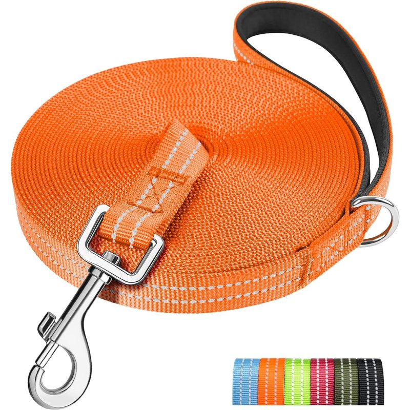 Longe Pour Chien 50m, Laisse De Dressage Pour Chien, Rembourrée, Durable Et Léger, Longe Pour Petit, Moyen Et Grand Chien, Avec Boucle En D, Orange