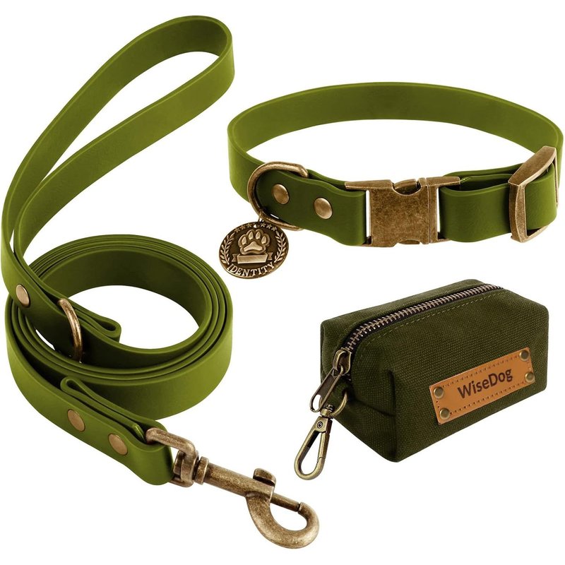 Ensemble Collier Et Laisse Imperméable Pour Chien : Collier Réglable, Laisse Classique Avec Porte-Sac À Crottes, Pour Chiens De Taille Moyenne Et Grande (M, Vert)