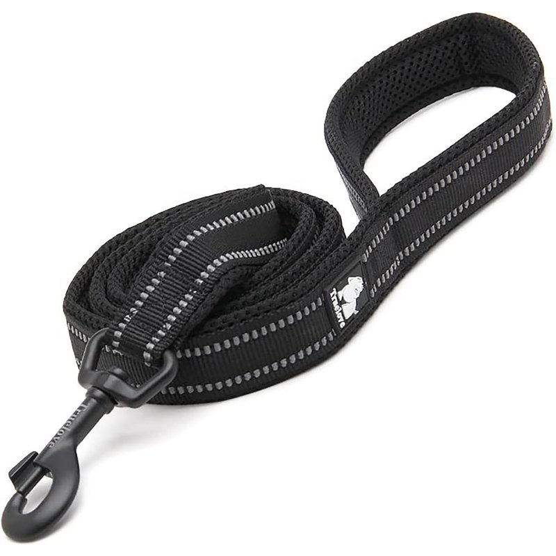 Laisse Réfléchissante Pour Chien Longueur 110cm Tll2111 (Noir, M)