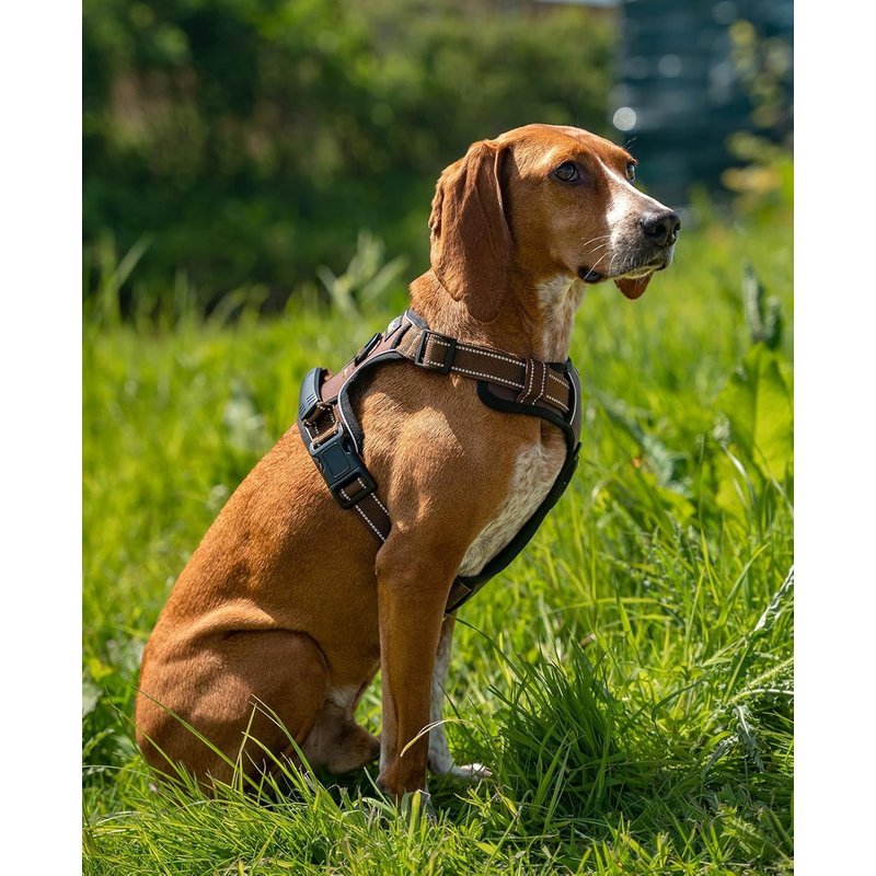 Harnais Rembourré Pour Chien En Nylon Doux, Taille M, Harnais Anti-Traction Réfléchissant Avec 2 Anneaux, 4 Sangles Réglables, 2 Fermetures Clips Et Poignée Dorsale En Caoutchouc, Marron
