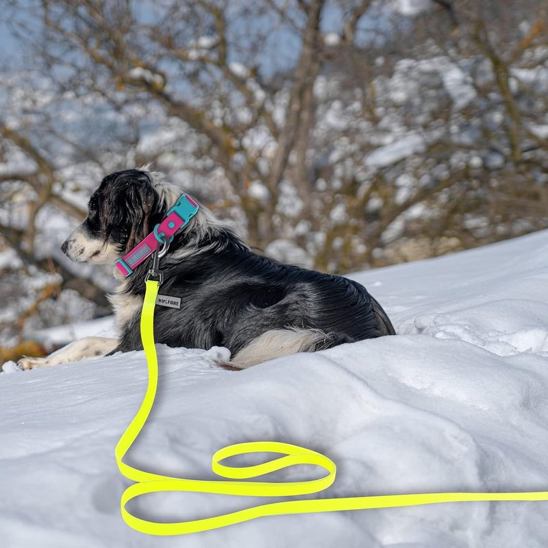 Laisse De Dressage Imperméable Pour Chienlaisse Robuste Résistante À La Saleté Et Aux Odeurs Pour Petit, Moyen Et Grand Chien Laisse De Couleur Mignonne Pour Garçons Girly Dog Jaune 1,5m