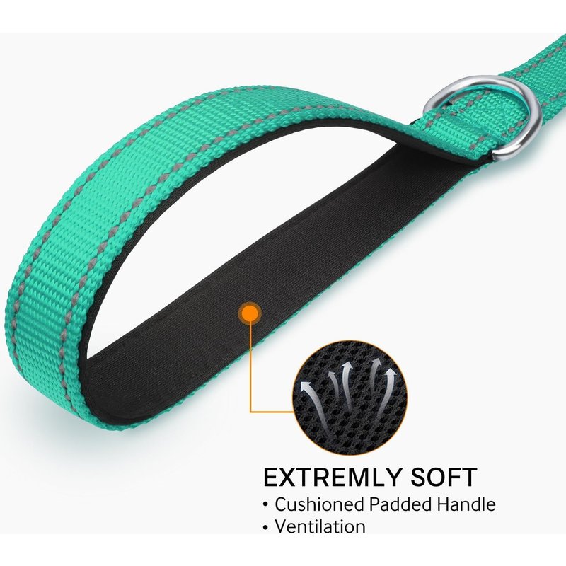 Laisse Double Face Réfléchissante Robuste Pour Chien, Avec Poignée Rembourée, 1.5m X 2cm, Turqoise