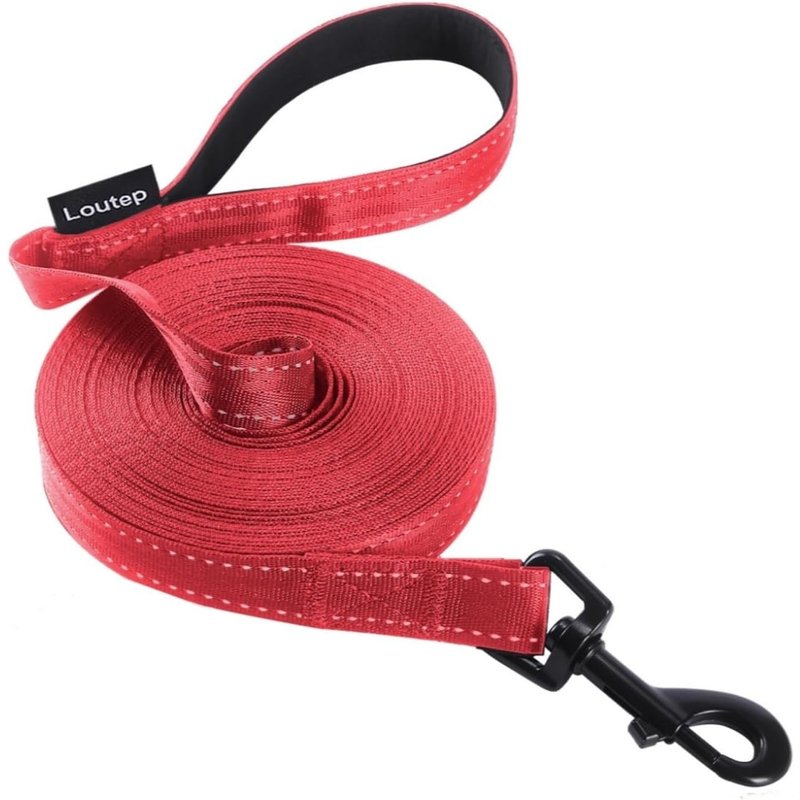 Laisse De Dressage Réfléchissante Pour Chiens De 3 M, 5 M, 10 M, 15 M, 20 M, 25 M, 30 M - Corde En Nylon Robuste Avec Poignée Rembourrée Pour Chiens De Petite, Moyenne Et Grande Taille - Pour