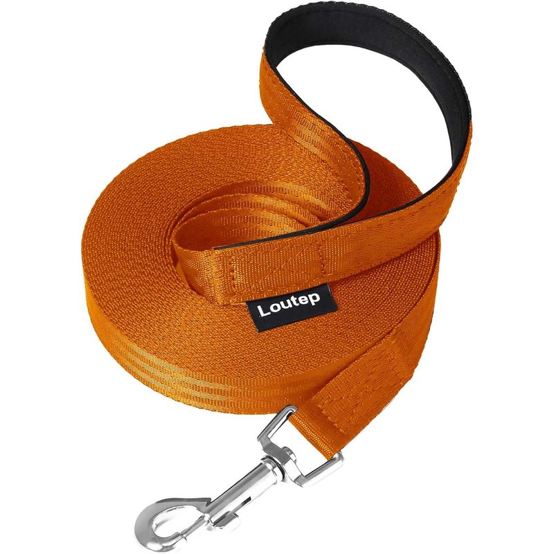 Laisse Pour Chien - 3 M, 5 M, 10 M, 15 M, 20 M, 25 M, 30 M - Laisse Pour Chiens De Petite Et Grande Taille