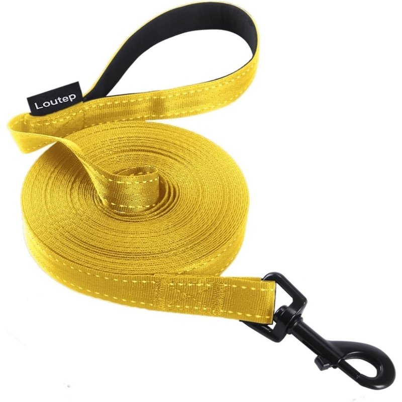 Laisse De Dressage Réfléchissante Pour Chiens De 3 M, 5 M, 10 M, 15 M, 20 M, 25 M, 30 M - Corde En Nylon Robuste Avec Poignée Rembourrée Pour Chiens De Petite, Moyenne Et Grande Taille - Pour