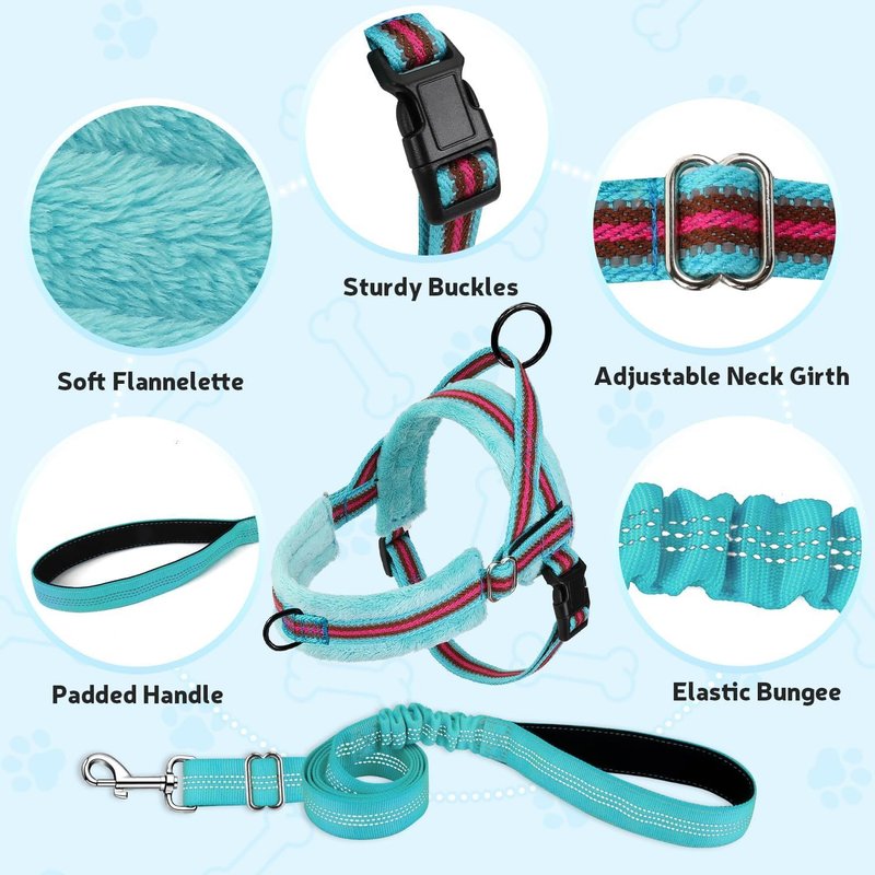 Ensemble Harnais Et Laisse Pour Petit Chien, À Ajustement Rapide, Gilet Rembourré Avec Sécurité Et Bungee Ajustable