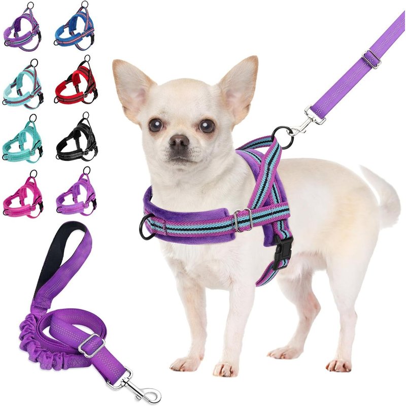 Ensemble Harnais Et Laisse Pour Chien, Harnais Petit Chien À Ajustement Rapide Harnais À Gilet Rembourré Pour Petits Chiens, Avec Harnais De Sécurité Et Bungee Ajustable Pour Chien