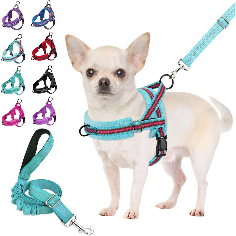 Ensemble Harnais Et Laisse Pour Petit Chien, Ajustement Rapide, Gilet Rembourré Avec Sécurité Et Bungee Ajustable