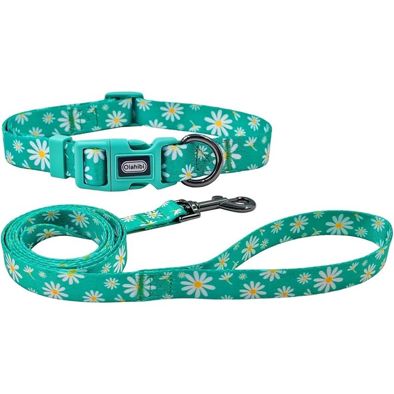 Ensemble Collier Et Laisse Pour Chien - Motif Floral - En Polyester - Laisse Assortie De 150 Cm - Pour Grands Chiens - Taille L - Marguerite Verte