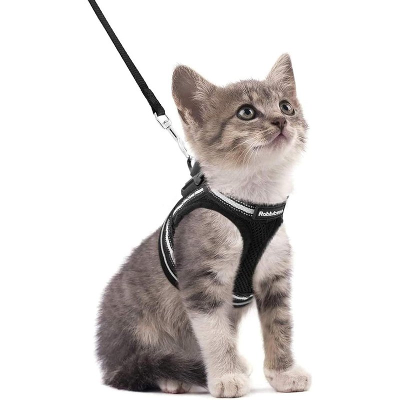 Subzonal-Harnais Chat Avec Laisse, Harnais Chaton Respirant Et Bande Réfléchissante Gilet Réglable Petit Chien Collier Facile À Mettre Pour Persan Ragdoll American Shorthair Chiot Lapin S Noir