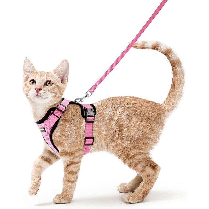 Subzonal-Harnais Chat Petit Chien Laisse Harnais Chaton Réglable Rose Xs Collier Harnai Chat Refléchissant Gilet Respirant Pour Lapin, Chat Européen, Maine Coon, Persan, Attache Dessus Avec Laisse