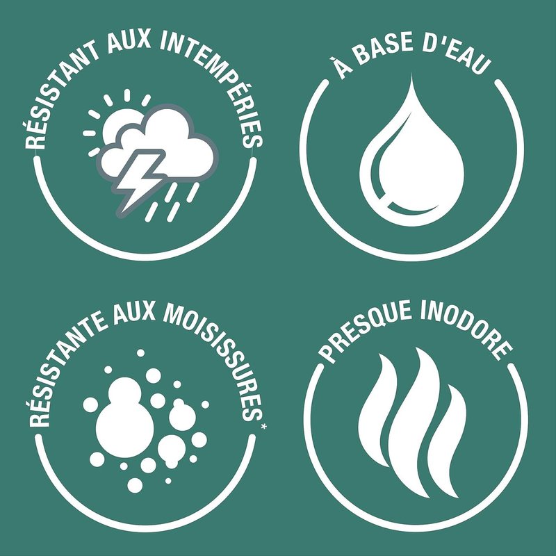 Peinture Blanche Résistante à l'humidité pour Jardins,Finition Brillante-Huître 750ml